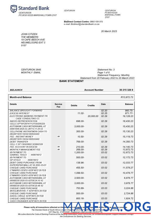 Realistic USA Standard bank statement word 6 pages example